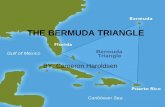 Cameron  - the bermuda triangle mysteries