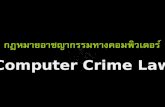 Computer crime law
