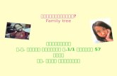 Family tree ( on on )