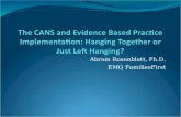 The CANS and Evidence Based Practice Implementation: Hanging Together or Just Left Hanging?