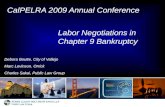 2009 11 05 Cal Pelra Chapter 9 Presentation