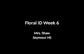 Floral ID Week 6