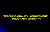 Teaching Quality Improvement Program
