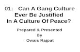 Can A Gang Culture Ever Be Justified In A Culture Of Peace?