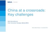 China at a crossroads: Key challenges