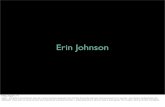 Erin Johnson visual resume