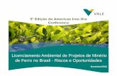 Obstacles regarding environmental licensing for iron ore projects in Brazil