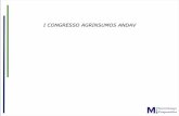 Congresso Andav Governança Corporativa 18072011
