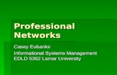 Professional networks