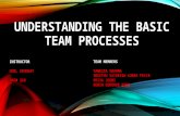 Understanding the basic team processes