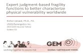 Expert judgment-based fragility functions to better characterize physical vulnerability worldwide
