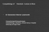 Cytopathology of bone lesions seminar iap2012