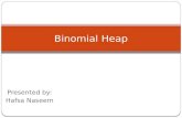 Binomial heap presentation