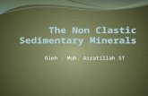 The non clastic sedimentary minerals