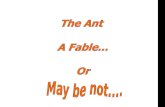 The Ant  Story