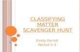 Emily Farrell's Scavenger Hunt
