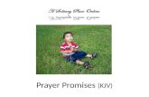 Prayer Promises (KJV)