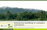 Scenarios building in complex commons