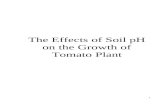 The effects of soil p h on the growth of tomato plant (2)