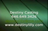 Destiny Casting