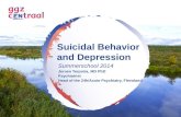 Presentatie summer school - suicidal behavior and depression