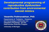 Developmental Programming of Reproductive Dysfunction- Contribution from Environmental Steroid Mimics