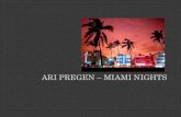 Ari Pregen - Miami Nights