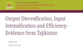 Output Diversification, Input Intensification and Efficiency: Evidence from Tajikistan