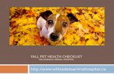 Fall Pet Health Checklist by Willowdale Animal Hospital