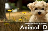Animal ID - Week One