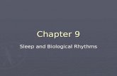 Chapter 9 – Sleep and Biological Rhythms
