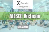 Vietnam electrolux 2014 award app   gcdp