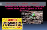 The power  words (tongue)