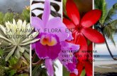 La fauna y flora en colombia