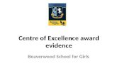 Centre of Excellence award evidence
