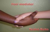 Peer mediator