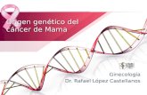 Origen genetico CA de mama