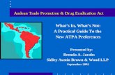 Andean Trade Promotion & Drug Eradication Act