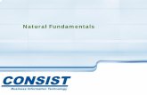 Natural Fundamentals - Consist