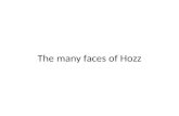 The many faces of hozz