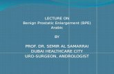 Benign Prostatic Enlargement (BPE)