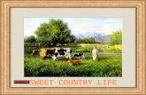 Country Life (Pp Tminimizer)