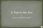 A trip to the zoo