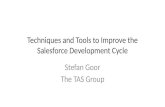 Techniques and Tools to Improve the Salesforce Development Cycle