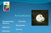 Anisakiasis (nx power_lite)