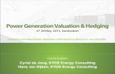 Power Generation Valuation and Hedging 2013