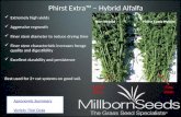 Millborn Seeds - Alfalfa