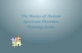 Cognition and Learning in Autism