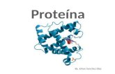 Proteina pp