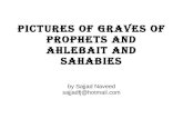 Pictures of graves of prophets and ahlebait